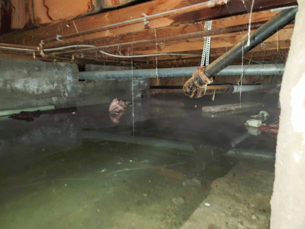 Best Flooded house restoration  in Everett, WA