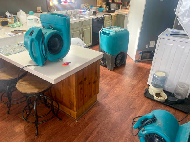 Best Water damage restoration near me  in Everett, WA