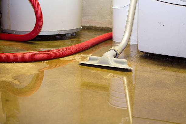 Local water damage restoration in Everett, WA