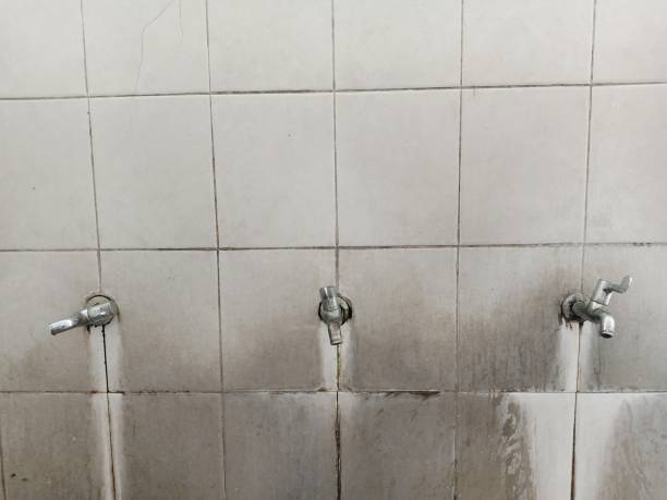 Professional Water damage restoration in Everett, WA