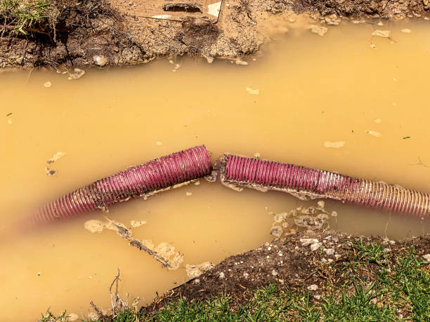  Everett, WA Water damage restoration Pros