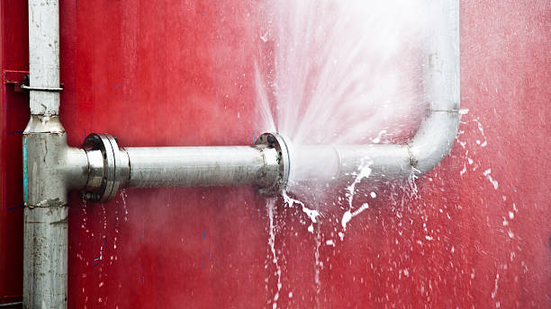 Best Fire Damage Restoration  in Everett, WA