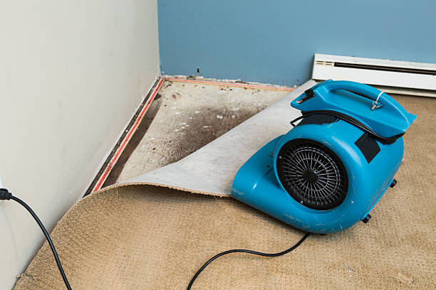 Best Basement water damage restoration  in Everett, WA