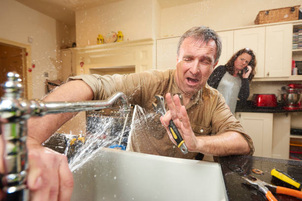 Best Ceiling water damage repair  in Everett, WA